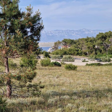 Apartments Ema Vir Εξωτερικό φωτογραφία