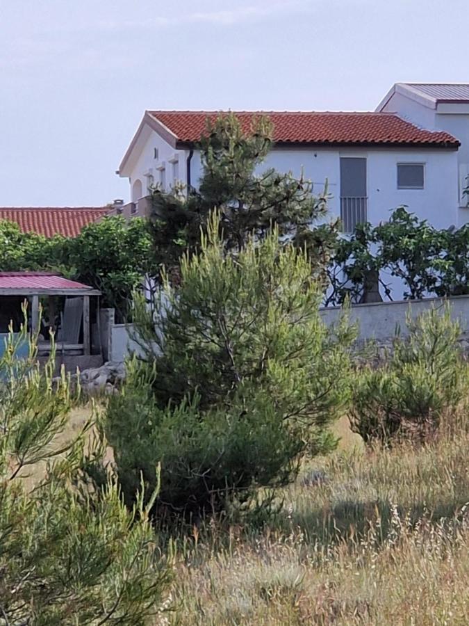Apartments Ema Vir Εξωτερικό φωτογραφία