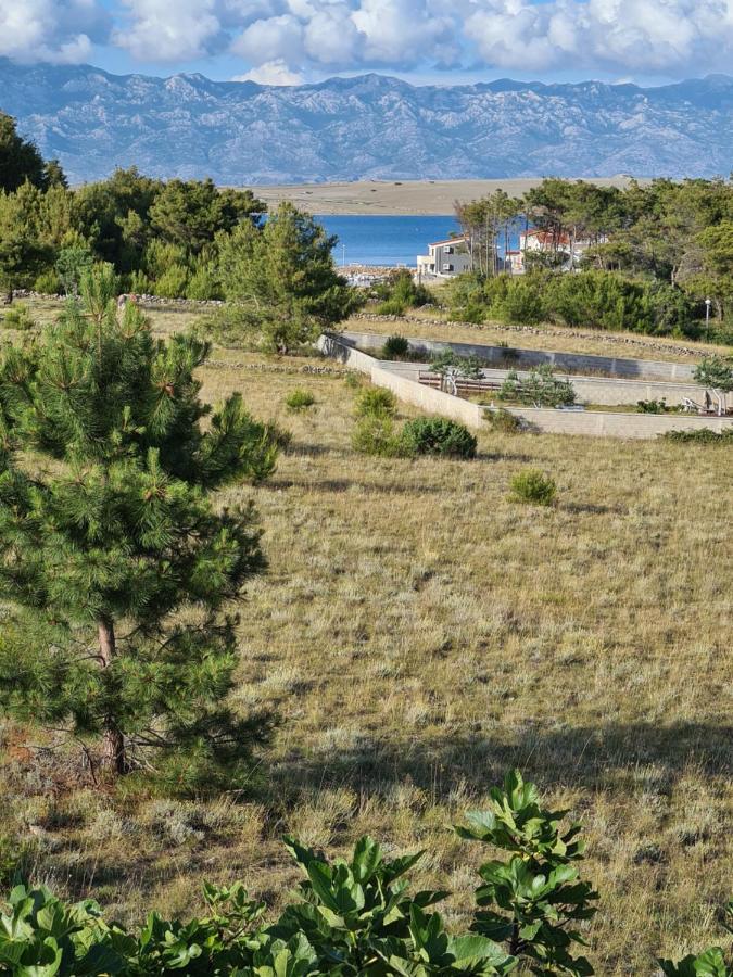 Apartments Ema Vir Εξωτερικό φωτογραφία
