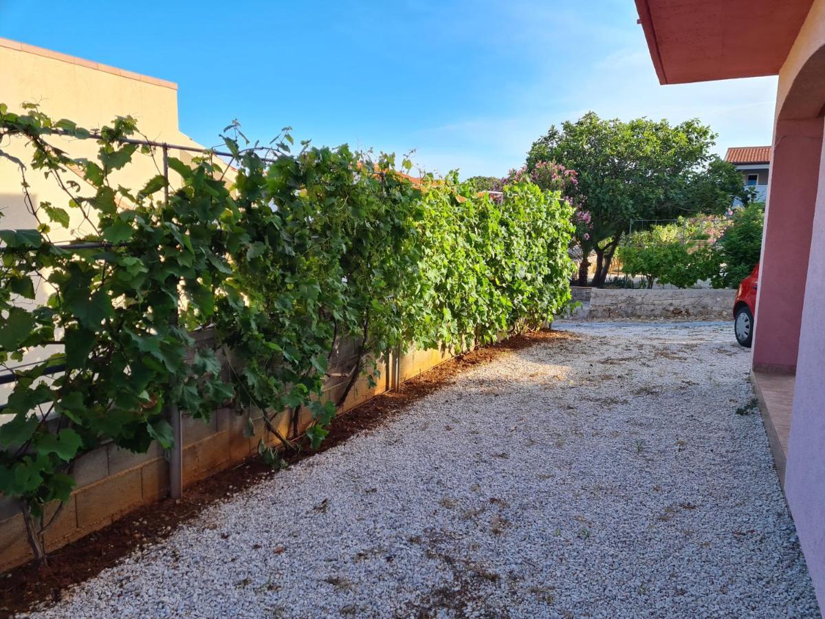 Apartments Ema Vir Εξωτερικό φωτογραφία